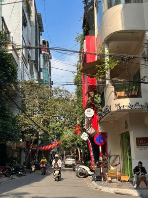 gia đình cần bán gấp phân lô nguyên hồng, 2 thoáng, 55m * 4 tầng, vỉa hè, ô tô đỗ, kinh doanh