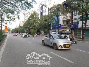 bán nhà đất trần khát chân nối dài, q. hai bà trưng, 46,9m², ngõ ô tô,sổ sẵn sang tên ngay!