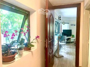 sở hữu ngay nhà phố đầm trấu phân lô ô tô tránh giá bay nhanh chỉ 28 tỷ 60m lô góc 5 tầng