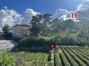 bán khuôn viên 1737.2m2 gần dinh iii bảo đại, đường nguyễn trung trực đà lạt