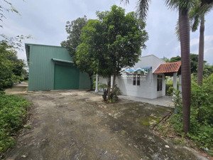 chính chủ cho thuê nhà xưởng thạnh lộc q12. đất: 450m2, xd: 250m2