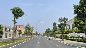 cơ hội sở hữu shophouse xẻ khe độc quyền tla 742 vinhome royal island vũ yên hải phòng