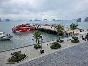 bán lô đất gần 1000m2 thuộc khu du lịch và cảng quốc tế ao tiên - đặc khu vân đồn - quảng ninh