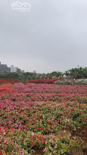 bán mảnh đất vàng còn sót lại đường thung lũng hoa tây hồ, âu cơ, 838m2, mặt tiền 22m, 145 tỷ