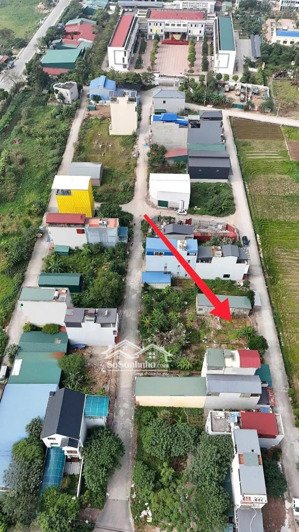 bán đất đấu giá mả tre bình minh thanh oai, phân lô vỉa hè ô tô tránh, view thoáng, giá rất tốt