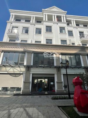 đầu tư shophouse tmd dòng tiền 15 triệu/tháng tại vinhomes ocean park