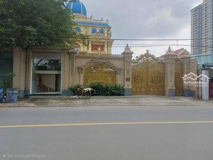 giảm 8 tỷ. bán bt 6pn, 4wc 745m2, chiêu liêu, tân đông hiệp, dĩ an, bình dương giá ưu đãi còn 42 tỷ