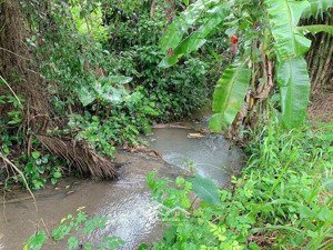 bán khoảng 4 sào (3976m2) đất xã kim long, huyện châu đức, brvt. giá 4 tỷ.