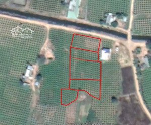 bán đất sào giá rẻ, hàm thuận bắc, bình thuận, đường xh, 40m mặt tiền, 3.299m2 giá ~500.000 đồng/m2