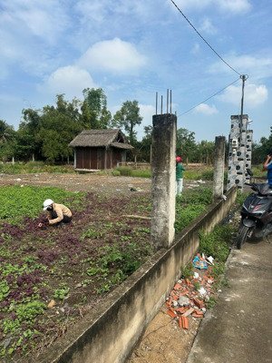bán lô đất vườn đầu tư quy đức bình chánh