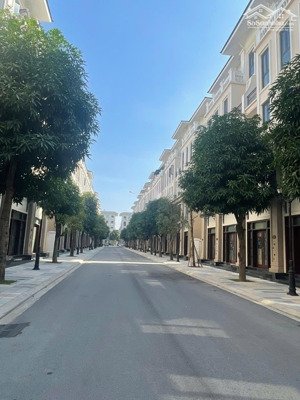 bán biệt thự đẹp tại vinhomes ocean park 3, 10,2 tỷ, 60m2, full đồ 5 tầng