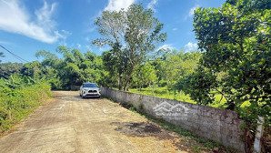 chính chủ gửi bán siêu phẩm nghỉ dưỡng 1ha tại phường kỳ sơn tp hòa bình, cách hà nội chỉ 60km