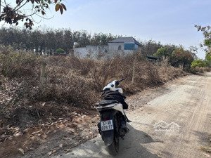 duy nhất 1 lô. ngay trục chính kcn. ngang 32m tổng hơn 1 sào giá chỉ 435tr