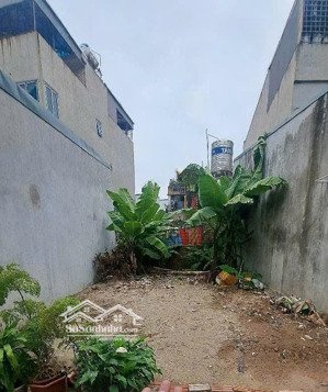 bán đất kẻ vẽ, đông ngạc, 8,8 tỷ, 59,9 m2, vị trí lý tưởng cho đầu tư, ô tô qua đất, ngõ thông.