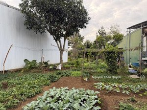 1234m2 hà giang - trung tâm phường 1 bảo lộc - 27m mặt tiền đường - sẵn thổ cư