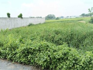 bán đất 500m2 tại tân phú trung, củ chi, 4 tỷ vnd, mặt tiền 17m, ngõ rộng 4m đẹp