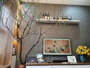 căn hộ 2pn 2vs 58m2 tại hà nội homeland