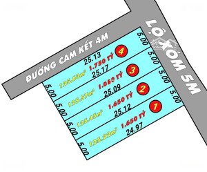 bán nền lô góc 125m2 ngay đầu đường cây thông trong. ngay sát dương đông, sổ full thổ cư, giá tốt.