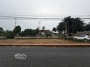 lô góc ngay chợ triều đông, 120m2, giá 2xtr/m2