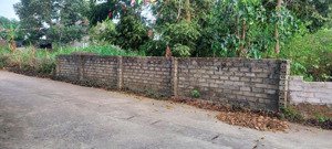 chủ cần tiền bán gấp, lô đất dt 140m2, cách ubnd xã phú cát 200m, cách cnc hòa lạc 1km. chỉ 20 tr/m