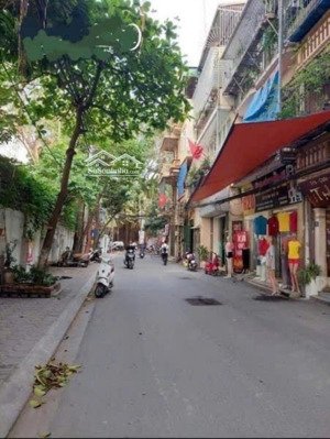 cực hiếm phố cự lộc thanh xuân