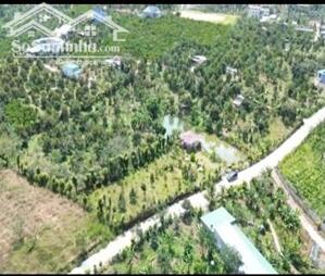 Đất nghỉ dưỡng view hồ tại Bảo Lộc, giá từ 1 tỷ 250 triệu đồng mỗi nền