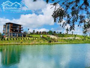 MUA NHANH ĐẤT BẢO LỘC, KHÔNG KHÍ MÁT MẺ GIÁ CHỈ TỪ 1 TỶ 2