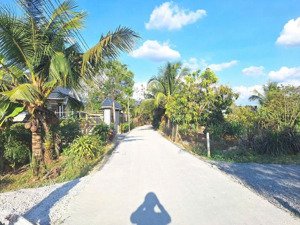 8x46 (371m2) đường ôtô, gần kcn chỉ 430tr