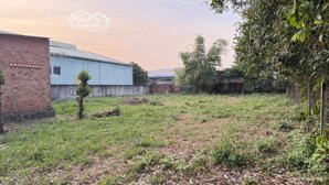 đất nguyễn kim cương- tân thạnh đông- củ chi, 1416m2 , fuul thổ,