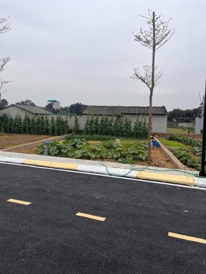 mua bán đất cổ đông t1/2026 - sẵn sổ sang tên ngay