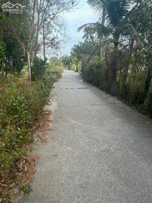 21X61(1305M2) Hẻm Nguyễn Du Tân Phước LaGi Gần Biển Giá 1.350 Tỷ