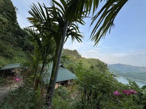 gia đình cần tôi bán gấp mảnh view hồ hoà bình - mảnh đất duy nhất còn sót lại giá rẻ nhất khu vực