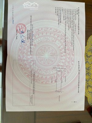 bán đất tại hoa động, thủy nguyên, hải phòng, giá ưu đãi 2,15 tỷ, diện tích 81,9 m2 đẹp