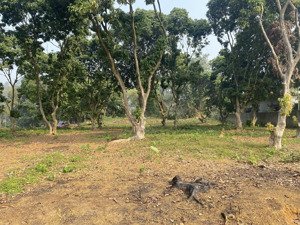 bán 9600m2 đất nghỉ dưỡng tuyệt đẹp tại ba vì .