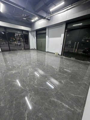 cho thuê biệt thự song lập giá 20tr hoang thiện cơ bản full điều hoà rẻ nhất o p1 gia lâm hn