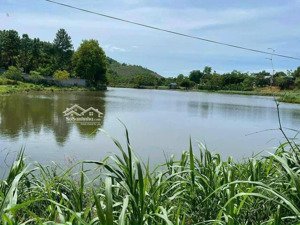 bán 5200m2 đất nghỉ dưỡng view hồ tuyệt đẹp tại ba vì hà nội