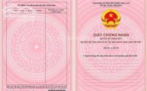 Bán Cặp Đất Đường(10m5) Đô Đốc Lân - 200m2- Hòa Xuân -Gía 11,7Tỷ