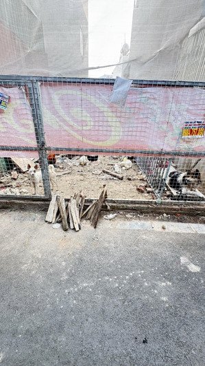 bán đất tiên hội trong lõi vin cổ loa giá tốt