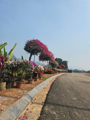 tiêu đề: chiếm lĩnh "đỉnh cao" zenith sở hữu biệt thự giai đoạn 1 đẹp nhất utopia