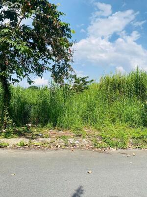 Chủ gửi Bá.n nền 81m² đường B6 KDC Phú An, phường Hưng Phú, TP. Cần Thơ