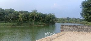 đất ven hồ hoà lạc vừa đầu tư vừa nghỉ dưỡng cuối tuần lên hoà lạc giờ đông không kém tam đảo