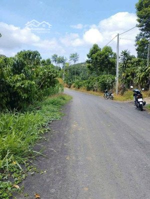 cần bán nhanh lô đất xã hoà bắc, di linh, lâm đồng, 1,5 tỷ