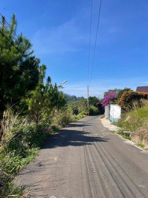 bán đất tại xã hoà ninh, di linh, lâm đồng, 2,15tỷ, 185m2