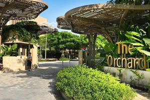 bán căn nhà phố liền kề hoặc cho thuê ở lâu dài tại thành phố mới bình dương, dự án the orchard