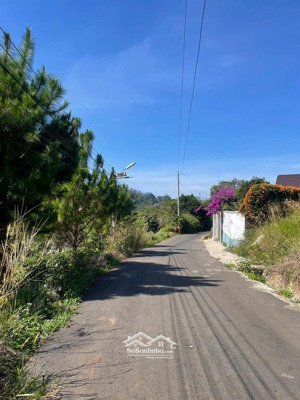 bán đất đẹp tại xã hoà bắc, huyệbán đất đẹp tại xã hoà bắc, huyện di linh, lâm đồng, 1,25 tỷ, 100m2