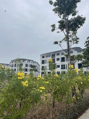 quỹ căn liền kề biệt thự giá rẻ tháng 01/2026 dự án nhóm nhà ở tây nam mễ trì, đường châu văn liêm