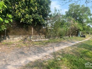 ngộp hạ giá! bán lô đất tặng căn nhà mt đường số 518 trải đá xe tải, dt 2.703m2, có 300m2 thổ cư