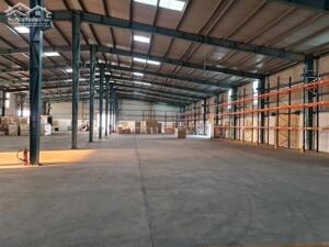 Cho Thuê 10.000m2 Kho Xưởng Khu Công Nghiệp Phước đông