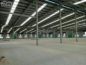 CHO THUÊ NHÀ XƯỞNG – HUYỆN ĐỒNG PHÚ, BP – 10.000m²