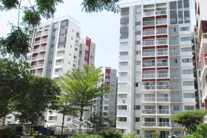 chuyên bán chcc cao cấp khu ruby celadon city, sơn kỳ, tân phú - 3pn, 2wc - shr giá 5,2 tỷ (bl)